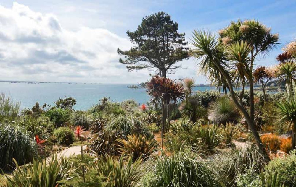 Que faire à Roscoff et en Baie de Morlaix ?